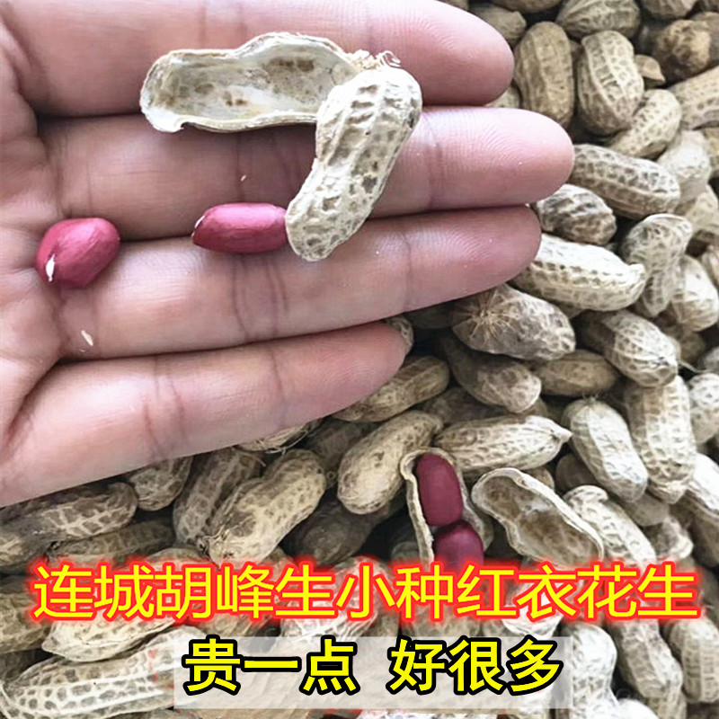 连城湖峰红衣花生 生红衣花生米红皮小粒花生米小种花生仁2斤