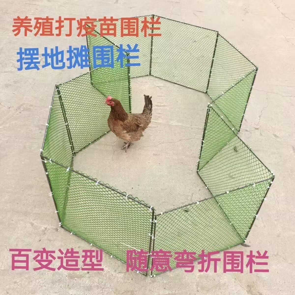 围栏网小鸡鸭鹅打疫苗分区网养殖笼卖鸡室外鸡鸭鹅专用打疫苗厂家