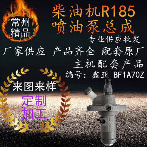 常州单缸水冷柴油机喷油泵总成 r185柴油机柴油泵配件柱塞喷油泵