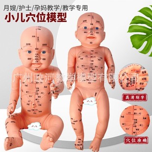 全身穴位娃娃经络中医小儿推拿按摩教学月嫂培训娃娃模型宝宝保健