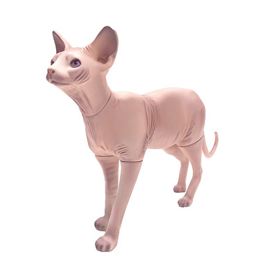 宠物猫咪模型可拆道具猫狗衣服拍摄展示衣架模特斯芬克斯猫摆设1