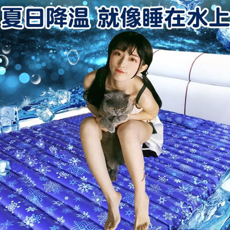 水床垫冰垫床垫水袋双人充水降温解暑降热神器夏天用凉床上水床