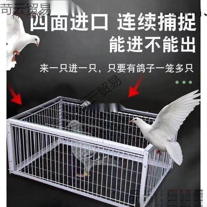 户外捕鸽神器鸽子笼全自动天落笼子自动只进不出撞门四面埋麦太保