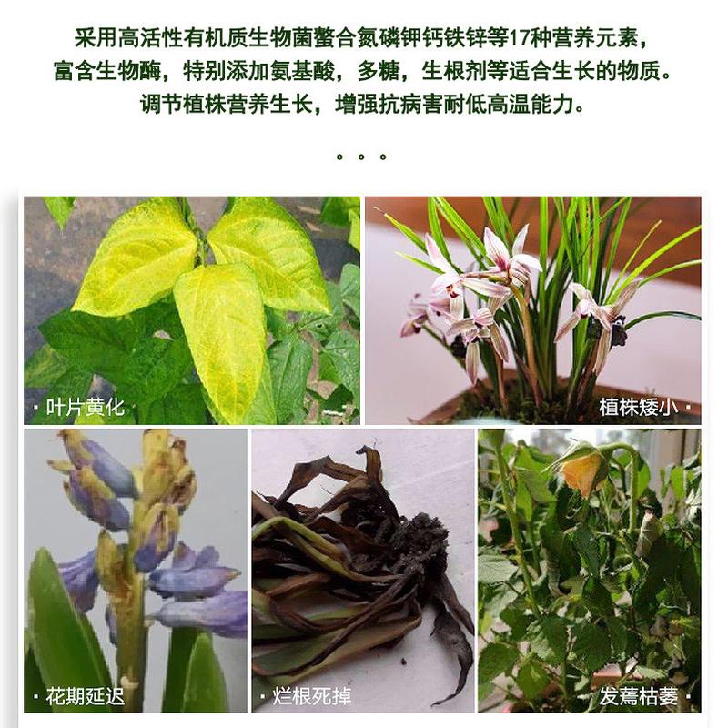 兰灵王营养液兰花专用植物通用花肥绿植水培植物月季多肉园艺肥料