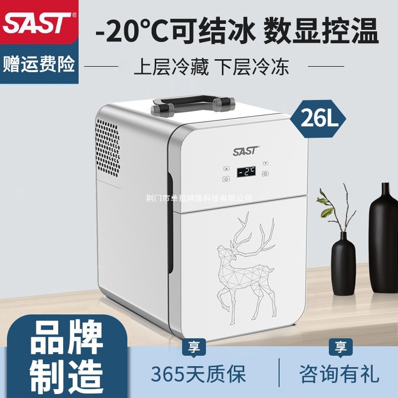 SAST迷你小冰箱小型家用宿舍车载冰箱迷你学生小冰柜冷藏冷冻20L