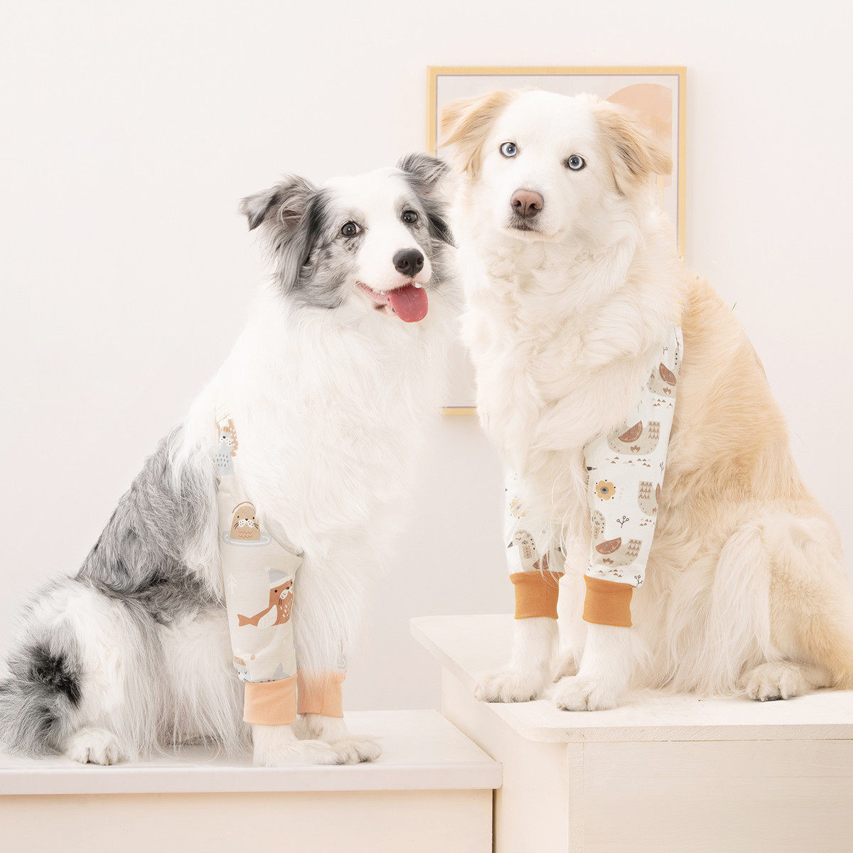 它小灶 宠物狗狗护肘护膝大型犬袖套护肘大狗保护关节防脏防口水,宠物/宠物食品及用品,袜子,淘宝优惠券,粉丝福利购,淘宝优惠卷