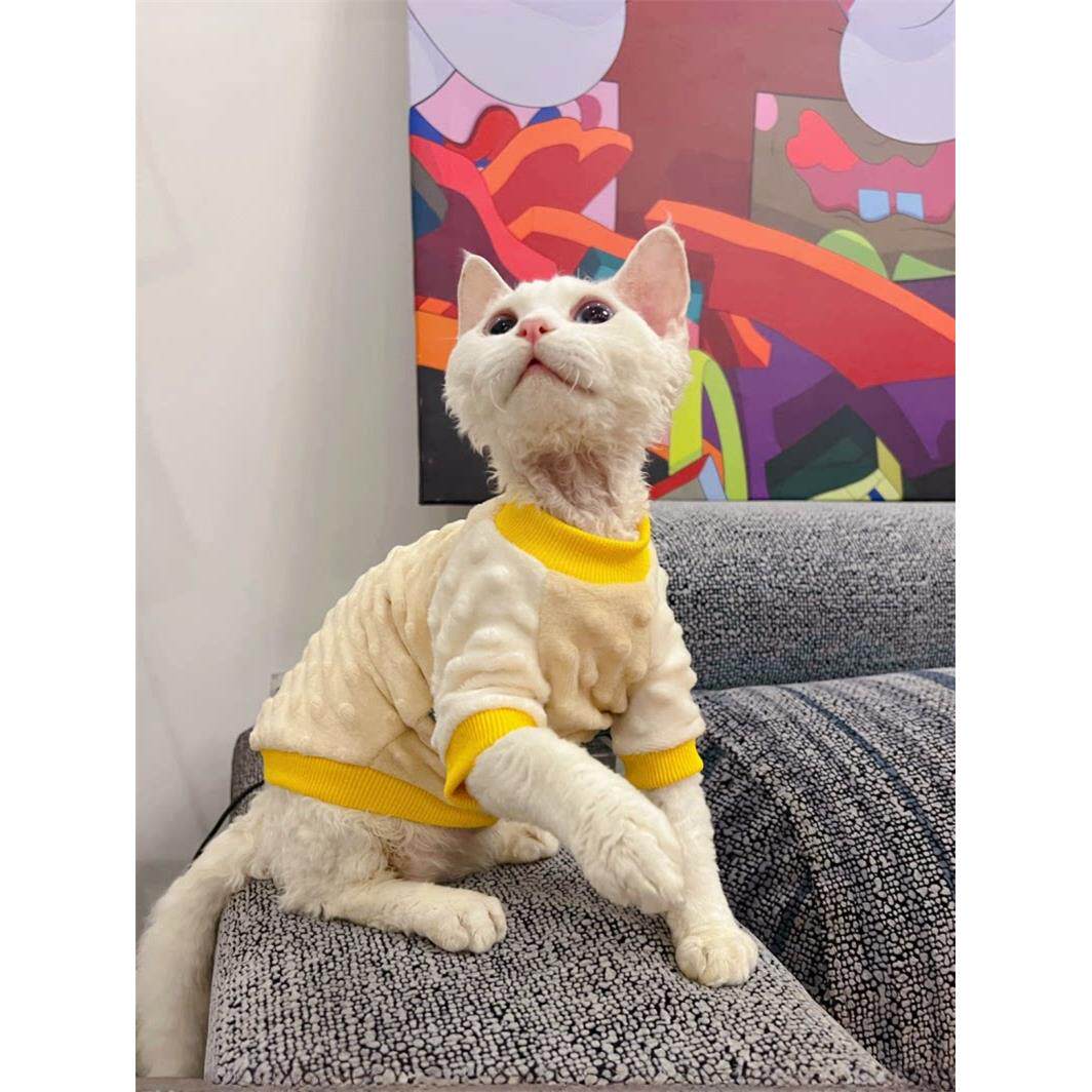 奶油是祇无毛猫斯芬克斯德文宠物通用款秋冬季豆豆绒保暖衣服包邮