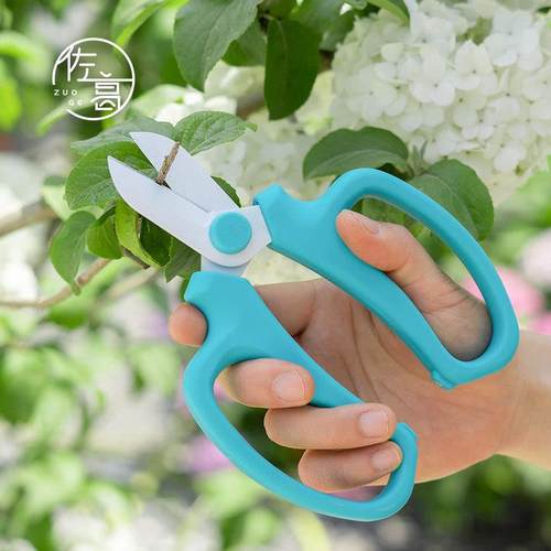 花剪园艺剪刀花艺修枝剪叶家用园林花卉整小盆栽果树花店剪枝工具