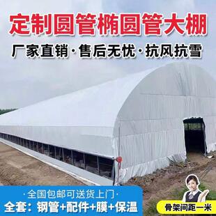养殖大棚全套大棚骨架家用温室种植棚专业养鸡棚羊棚牛棚养猪工厂