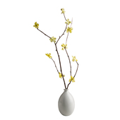 桃枝干枝真风干天然树枝树干装 饰永久干束客厅摆设