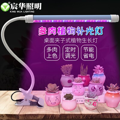 宸华生长多肉补光灯全光谱卉育苗绿植上色防徒盆景桌面夹子