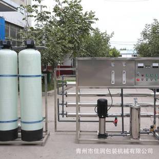 0.25吨纯水设备工业全自动双级反渗透净水器过滤去离子水处理设备