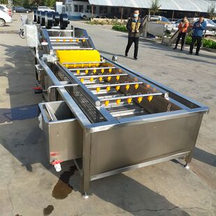 大型全自动水果清洗设备 气泡草莓清洗去杂机 工业喷淋洗苹果机器