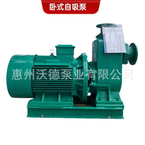 沃德吸水泵WDZWP180-14-18.5/4L耐腐蚀卧式无堵塞排污管道废水