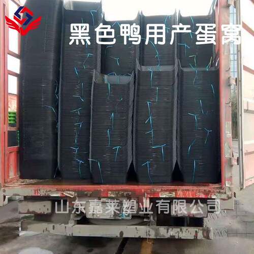 厂家直供鸭蛋窝 无底鸭蛋窝 塑料鸭用产蛋窝 鸭下蛋塑料窝厂家