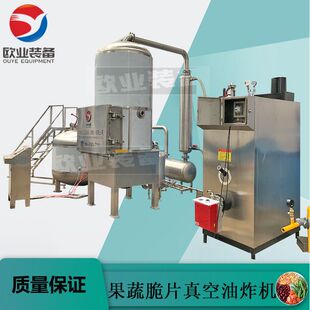 厂家直销大枣脆低温真空油炸机油浴脱水苹果脆片香酥脆枣真空油炸