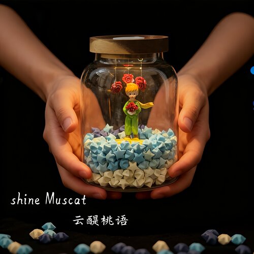 王子玫瑰星星玻璃罐幸运小夜灯高级氛围感生日礼物送女生新年礼物