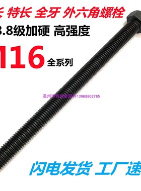 高强8.8超加长全牙外六角螺栓螺丝杆M16x100-500X200*170x180x700