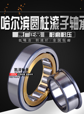 哈尔滨圆柱滚子轴承N NU NJ NUP 317 318 319 320 321 322 324 EM