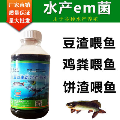 鱼饲料发酵剂水产豆渣喂鱼发酵饼渣酒糟鸡粪养鱼益生菌乳酸菌E