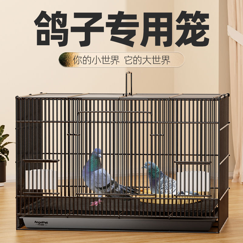 鸽子笼专用笼子新型鸽子笼家用养殖特大号户外专业繁殖配对铁
