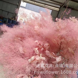 家居插花批发配材 永生漂色雾中情人保鲜花黄栌干花婚庆软装