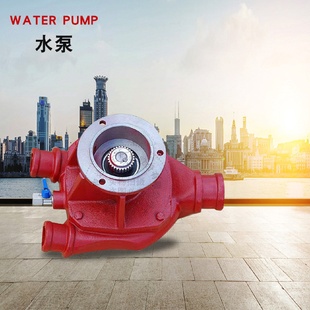 大象水泵 施维英水泵