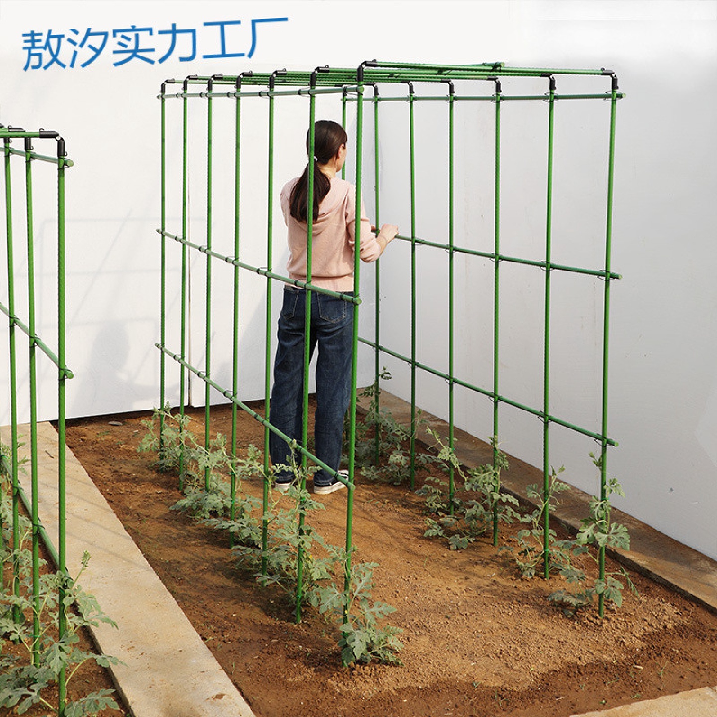 py爬藤架葡萄黄瓜豆角西瓜架丝瓜瓜棚种菜花支架庭院花卉植物支撑