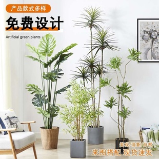 仿真绿植大型盆栽室内假绿植盆栽微景观南天竹旅人蕉落地摆件盆景