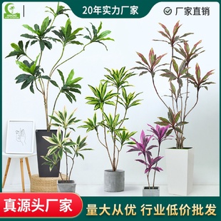 饰 厂家批发仿真巴西铁绿植盆栽室内橱窗植物巴西木仿生摆件绿植装
