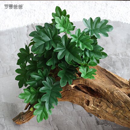小型空间植物造景配材吊饰室内墙面花槽搭配装饰仿真绿植绿萝盆景