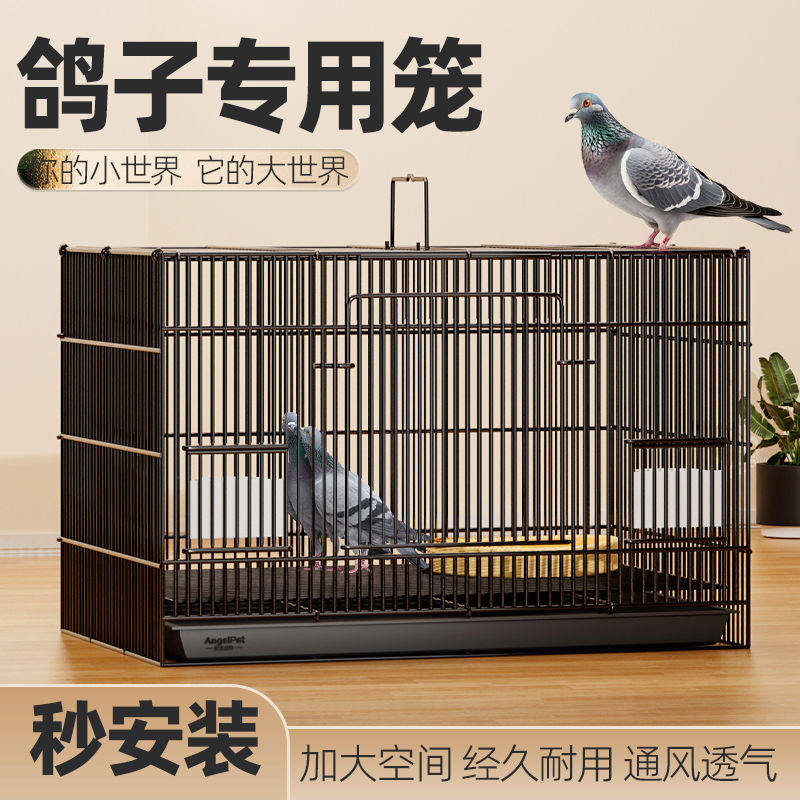 鸽子笼家用特大号养殖笼新型斑鸠笼子户外专用专业元宝繁殖配