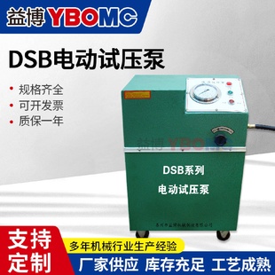 ppr水管测试泵 DSB 4.0Mpa电动试压泵箱式 管道打压机40KG 公斤