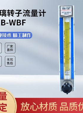 厂家直供玻璃转子流量计LZB-WBF气体液体水流量计仪表器可定制