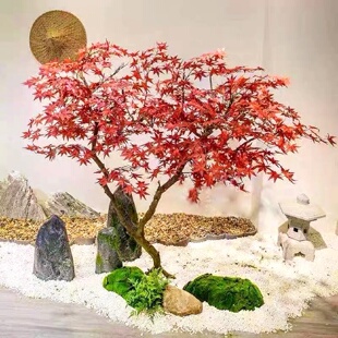 饰摆件 仿真红枫树鸡爪槭假树家居楼梯口下客厅景观橱窗绿植造景装