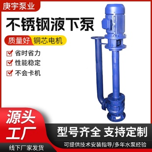 排污泵高流量电动长轴单双管 供应50YW不锈钢污水泵液下泵立式