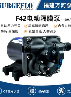 家用供水泵110V交流电动隔膜泵220V按需压力开关自吸水压增压泵