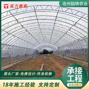双膜骨架大棚C型钢骨架大棚双拱双膜大棚种植大棚养殖大棚
