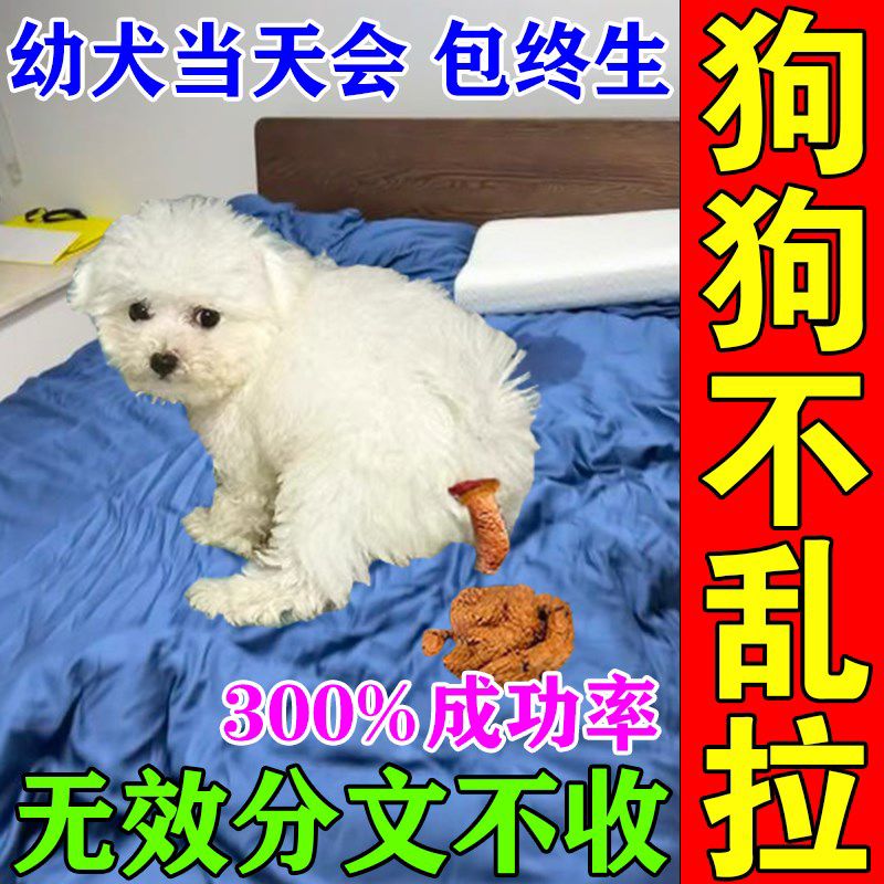狗狗定点排便神器训练宠物小狗上厕所诱导剂防止狗狗乱拉屎大