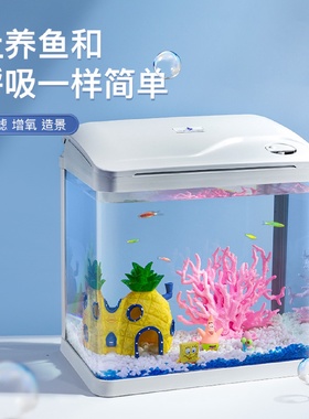 鱼缸客厅小型家用桌面玻璃循环过滤制氧免换水生态懒人造景水族箱