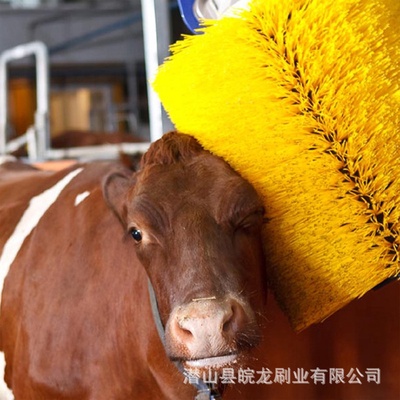 厂家直供畜牧牛体刷蹭痒马体刷全自动旋转辊刷奶牛按摩刷辊立柱刷