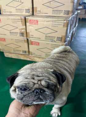 研华模块4018、ADAM-40187个询价