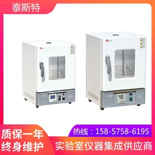 天津泰斯特GX230B热空气消毒箱