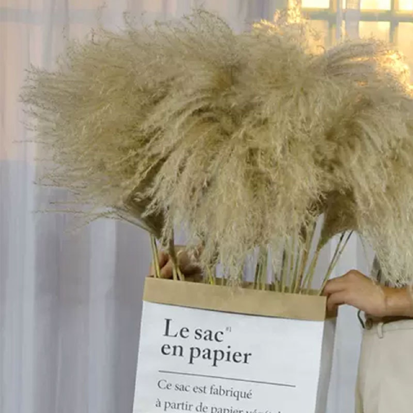 天然植物拂尘干花芦苇花蒲苇花束家居咖啡馆软装饰品摆件拍摄道具