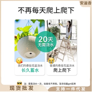 吊篮蓝兰花盆自动吸水室内外大口径绿萝箩盆绿植挂钩盆 吊盆悬挂式