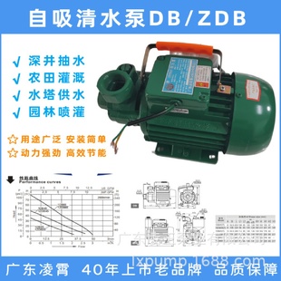 ZDB 凌霄清水泵增压自吸泵农用灌溉工业压电动家用DB