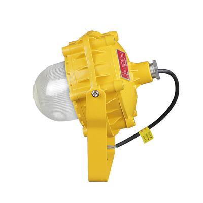 防爆灯泛光灯工业厂区SZSW7151投光灯石油化工50WLED防爆节能