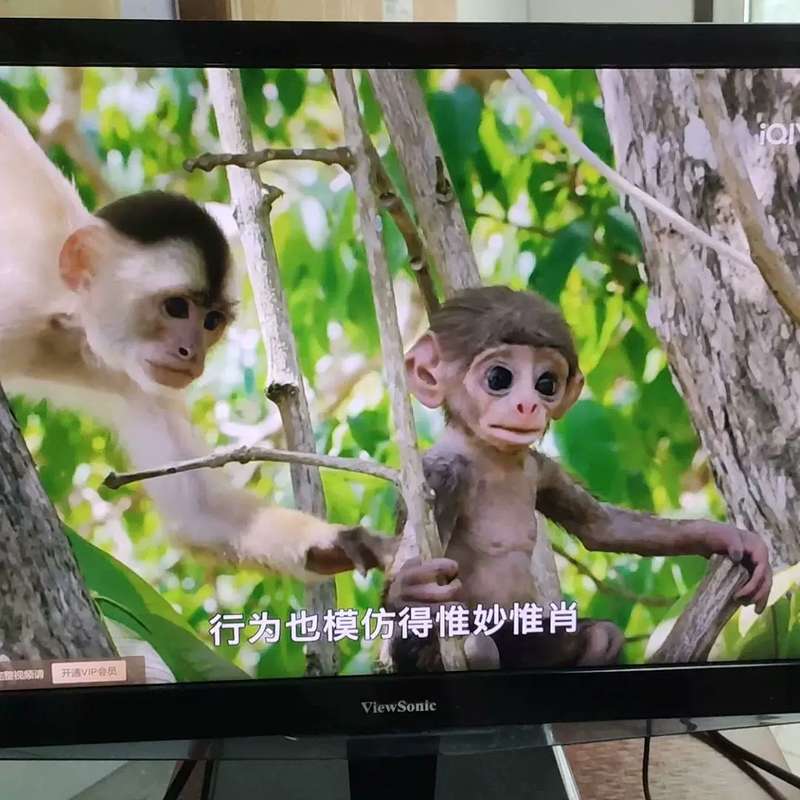 议价优派VX2475SMHL-4K-CN显示器 24寸高清4K分可开票图片