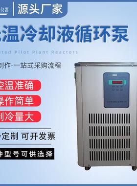 实验室设备制冷机 DLSB-5/20低温循环泵 中小型低温冷却液循环泵