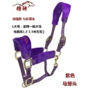 马笼头新品 彩色牵马调教笼头大小矮马龙头嚼子精骑马术用品促销